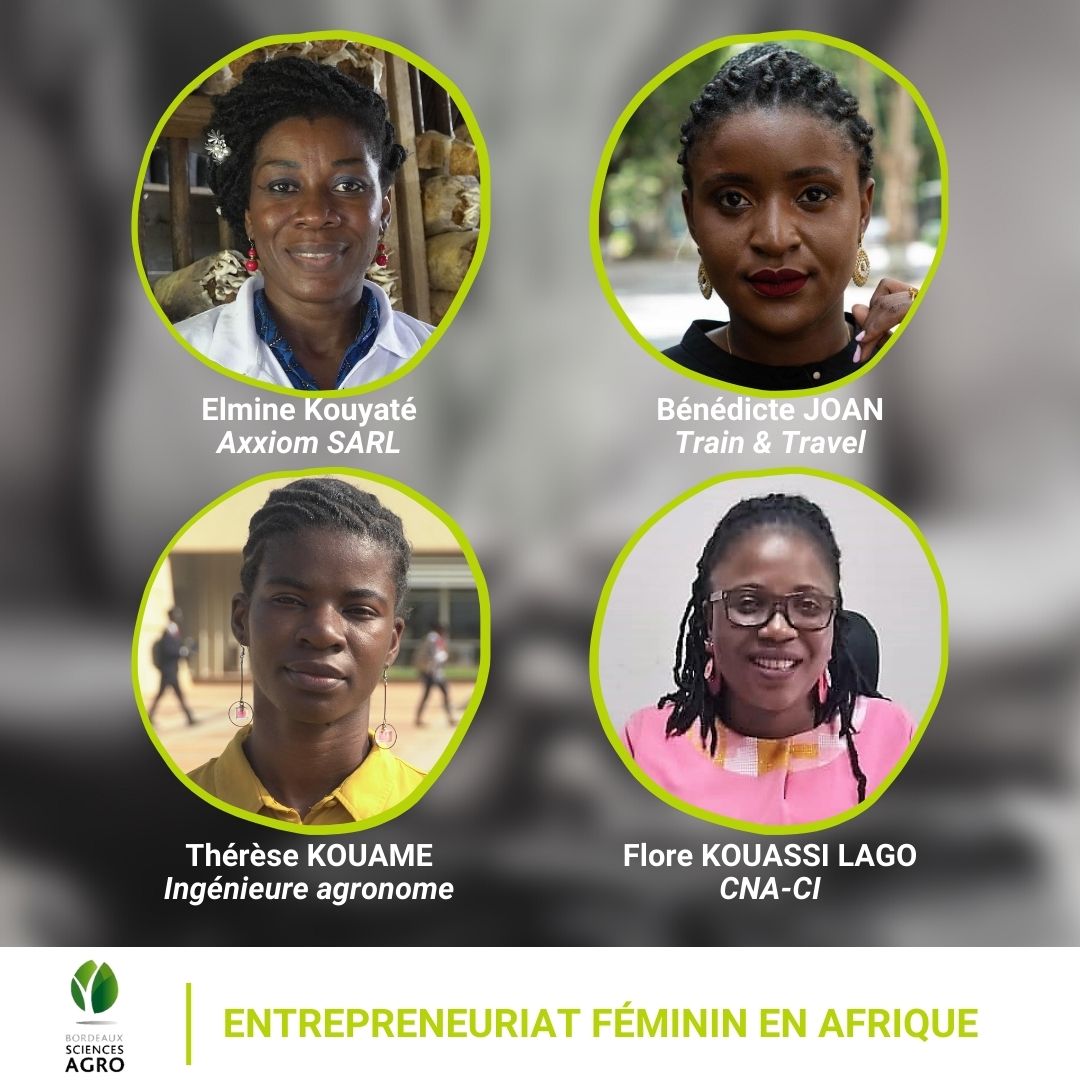 Illustration actualité table ronde entrepreneuriat féminin