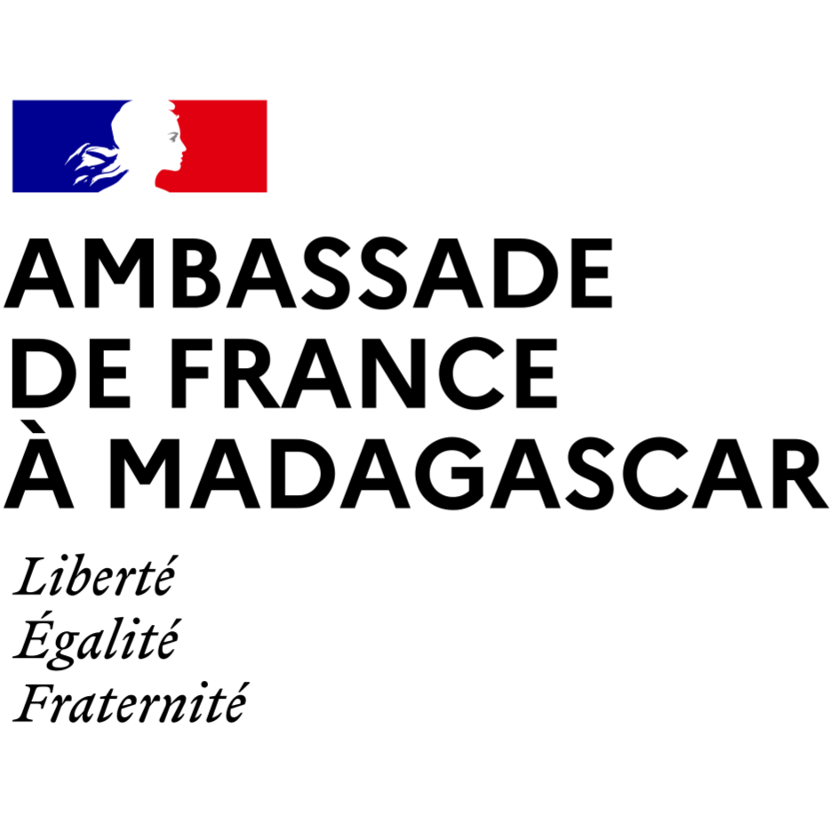 Logo - Ambassade de France à Madagascar