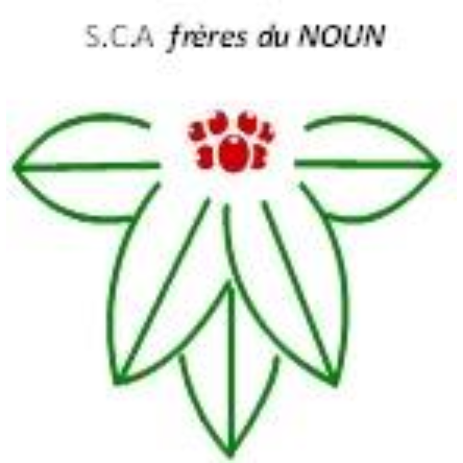 Logo - Frères du noun