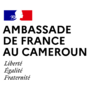 Logo - Ambassade de France au Cameroun